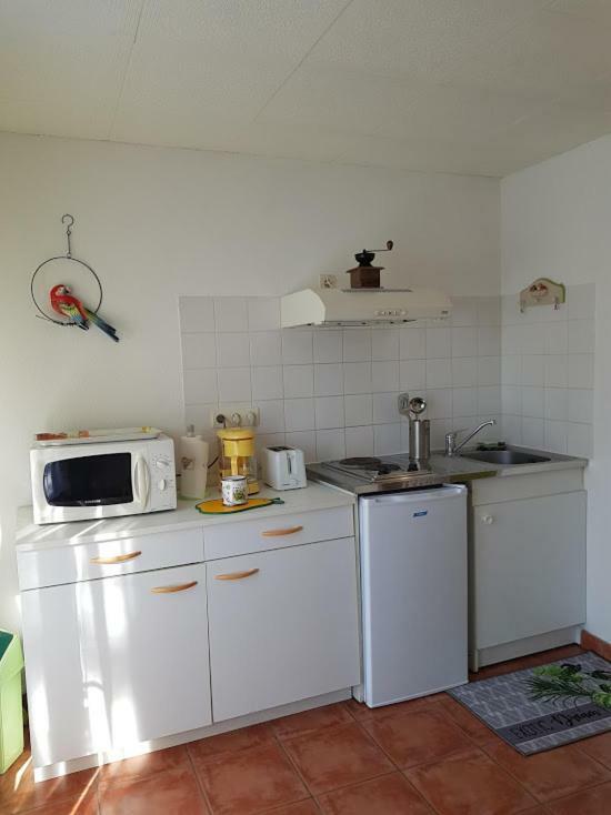 Studio Cote Sud Vert 사흘라 라 카네다 외부 사진